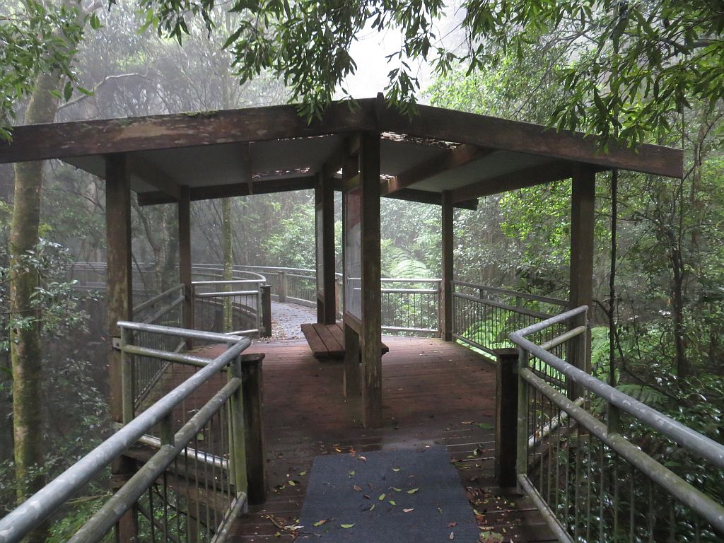 Walk With the Birds Boardwalk | park | Walk With the Birds, Dorrigo Mountain NSW 2453, Australia