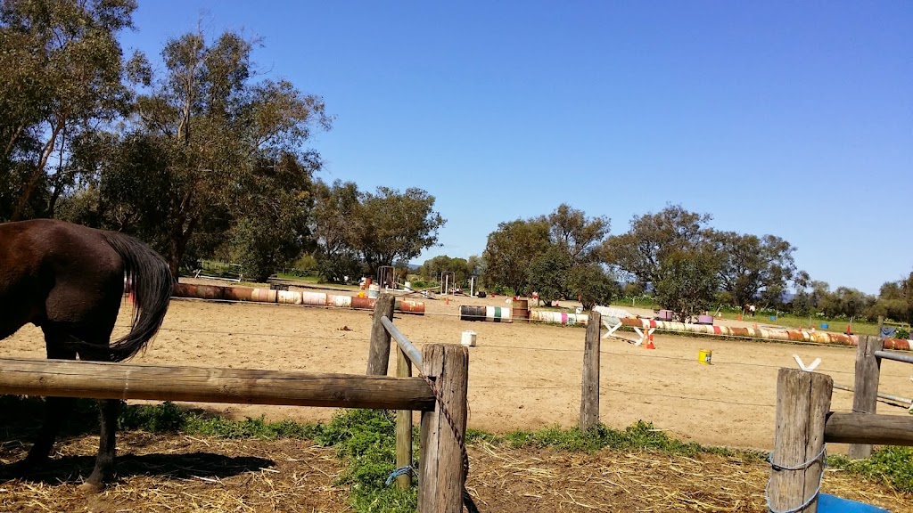 Foxdale Riding School | 100 Doghill Rd, Baldivis WA 6171, Australia | Phone: 0408 918 048