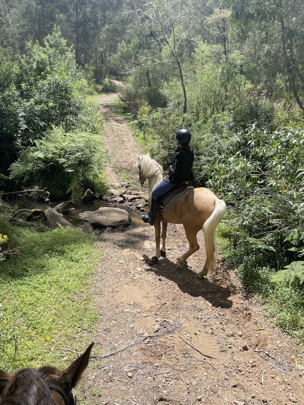 Highlands Equine Trail Adventures ( on your own horse) | 7007 Illawarra Hwy, Moss Vale NSW 2577, Australia | Phone: 0447 224 473