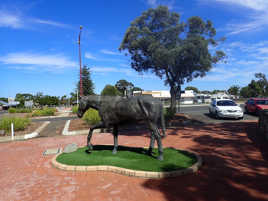 Welcome Park Norseman | 68 Roberts St, Norseman WA 6443, Australia | Phone: 0444 004 846