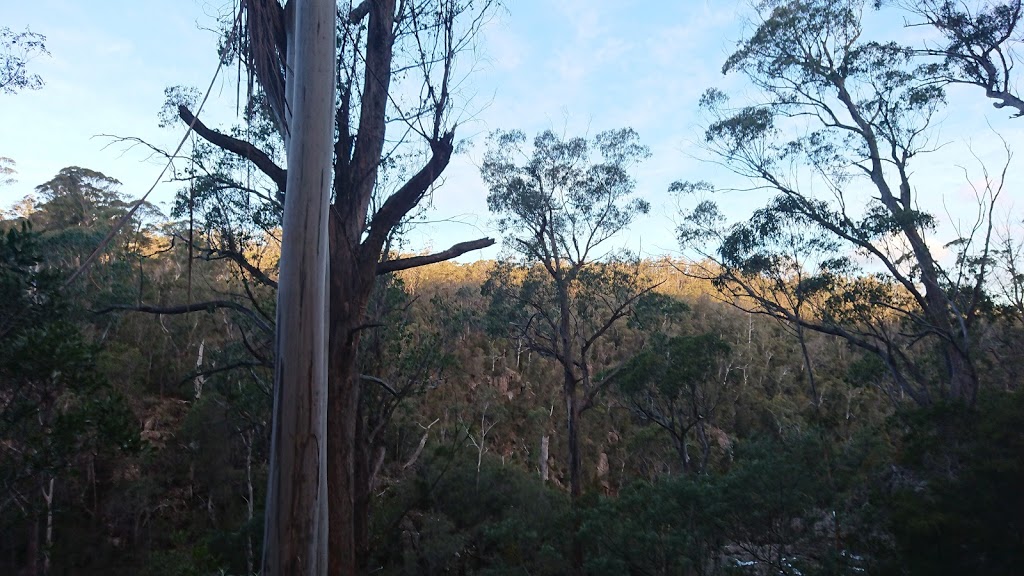 Hardings Falls | park | Hardings Falls Track, Royal George TAS 7213, Australia