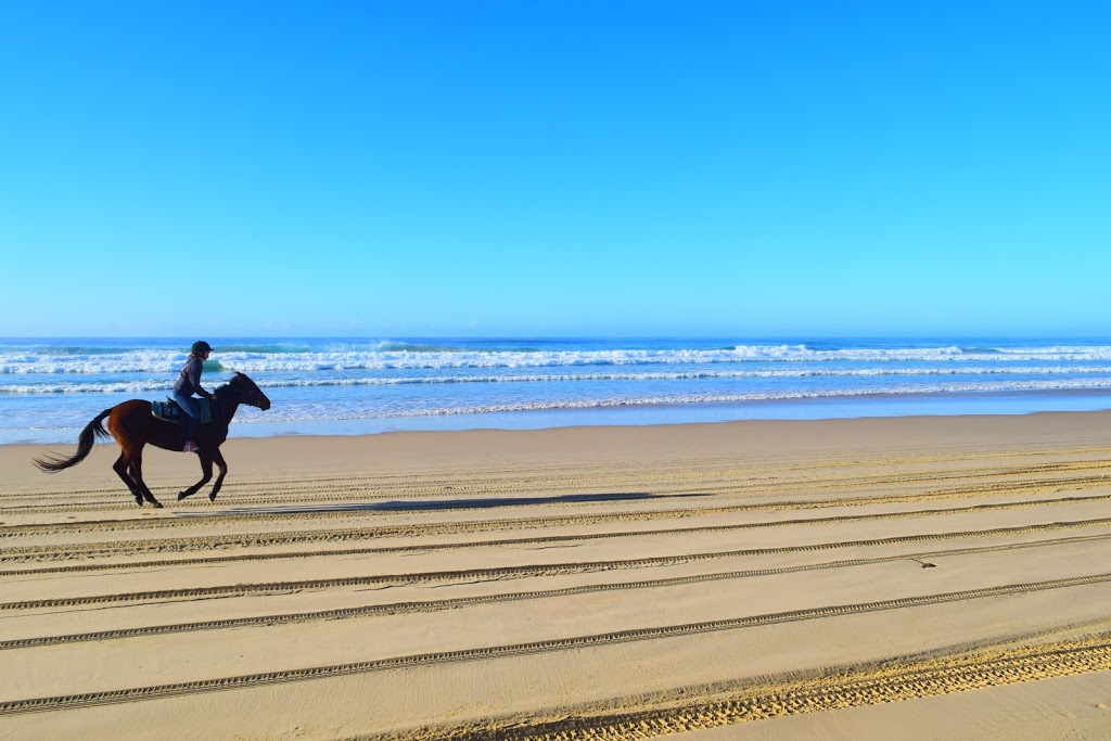 HWH Stables - Riding School & Trail Rides | 267 Dairyville Rd, Upper Orara NSW 2450, Australia | Phone: (02) 6653 8791