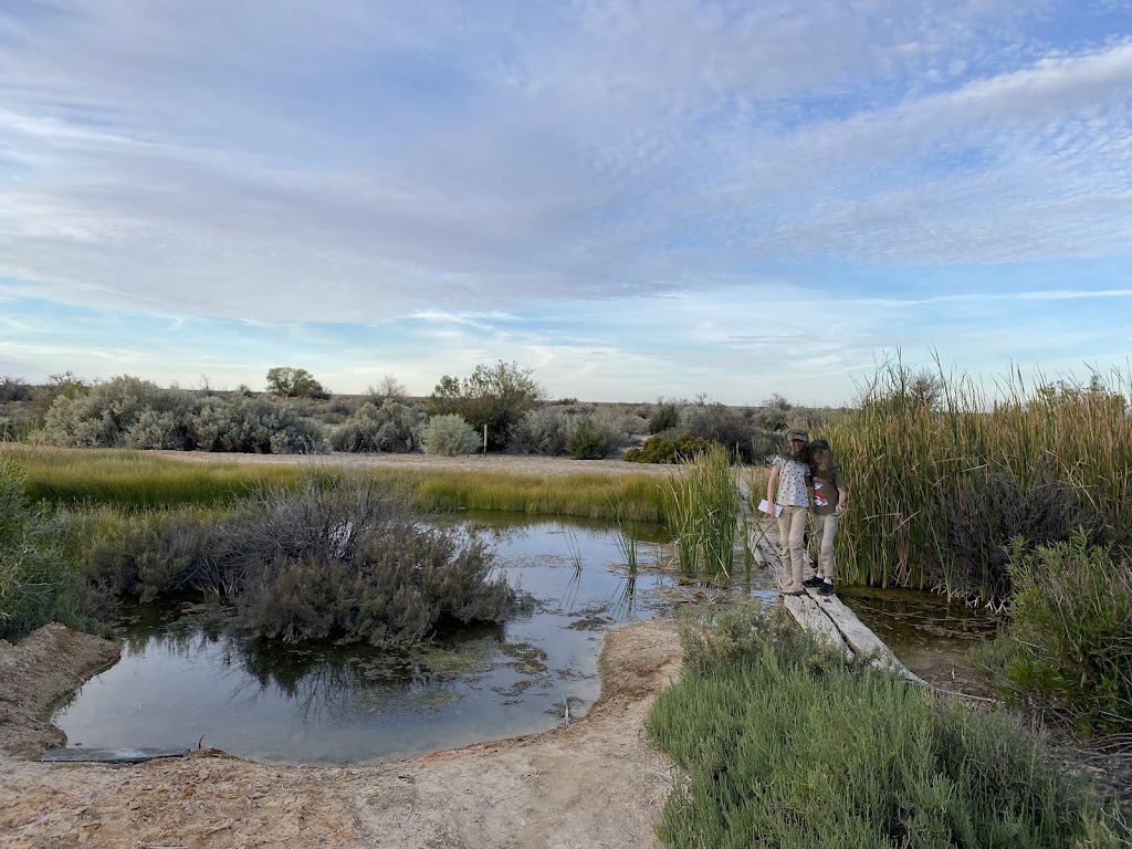 Coward Springs Campground | Stuarts Creek SA 5720, Australia | Phone: (08) 8675 8336