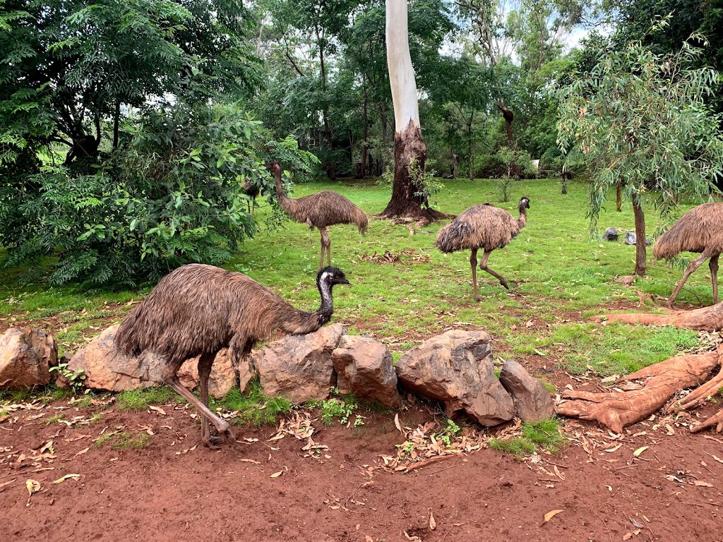 Cooberrie Park Wildlife Sanctuary | 9 Stones Rd, Cooberrie QLD 4703, Australia | Phone: (07) 4939 7590