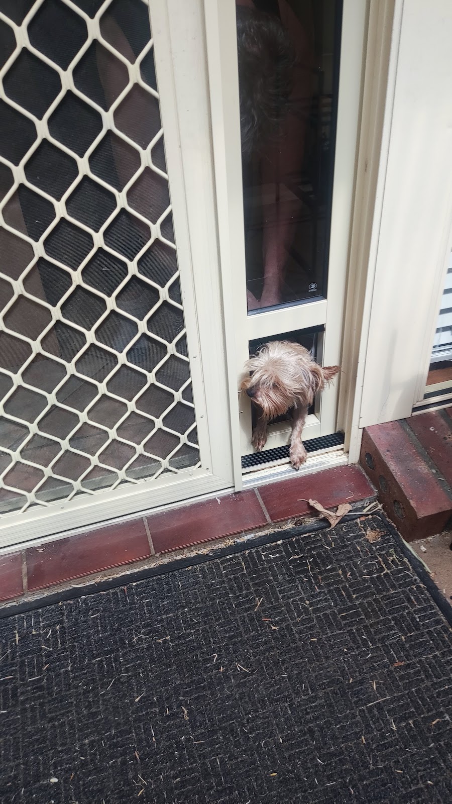 Patio Link | Pet Door Inserts for Sliding Door | Unit 7/15 John Duncan Ct, Varsity Lakes QLD 4227, Australia | Phone: 1300 489 424