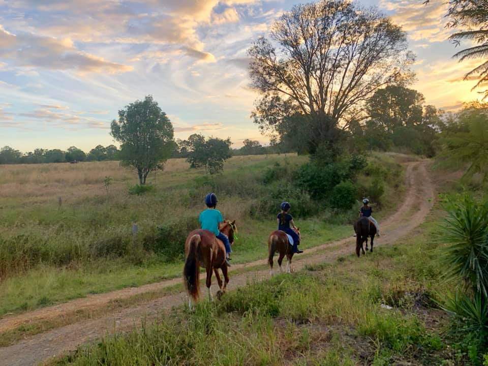 RIVER HIGH RANCH | 78 Neilsen creek access lane, Pioneers Rest QLD 4650, Australia | Phone: 0418 206 640