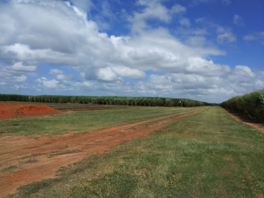 M&E Hydro Tomato Growers |  | 1 Alloway Siding Rd, Bundaberg QLD 4670, Australia | 0408187846 OR +61 408 187 846