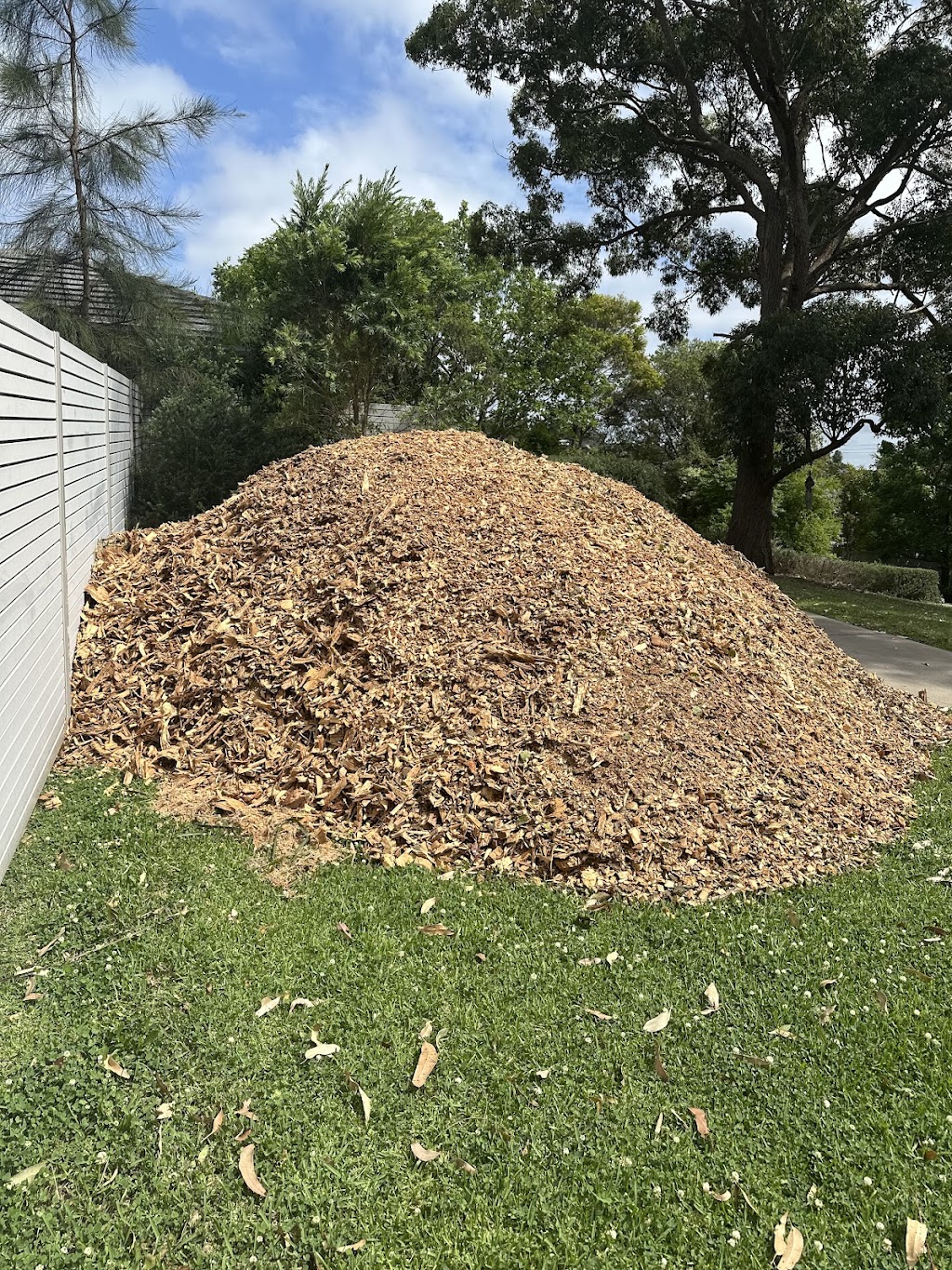 SprucedUP Lawns and Gardens | 252 Lakedge Ave, Berkeley Vale NSW 2261, Australia | Phone: 0402 858 349