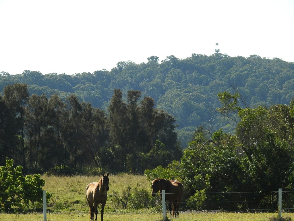 Riverbend Lodge | 259 Petrie Creek Rd, Rosemount QLD 4560, Australia | Phone: 0413 545 865