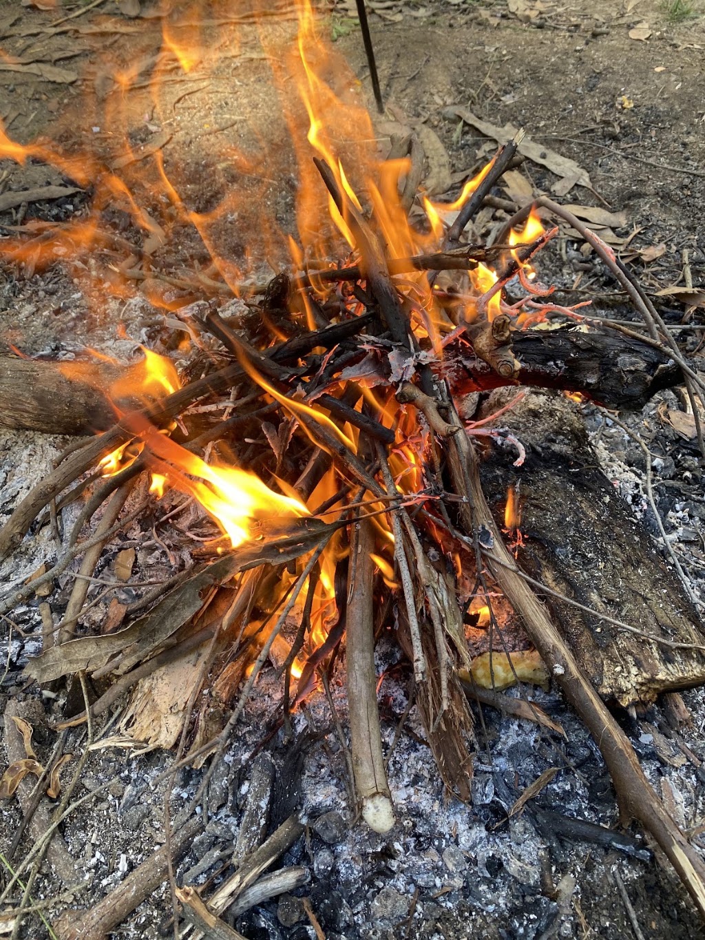 Everyday Bushcraft Fundamentals Site | R5Q8+26, Tallarook VIC 3659, Australia | Phone: 0448 435 528