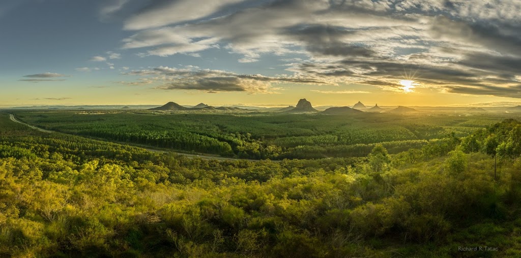 Beerwah State Forest | park | Forestry Rd, Landsborough QLD 4550, Australia