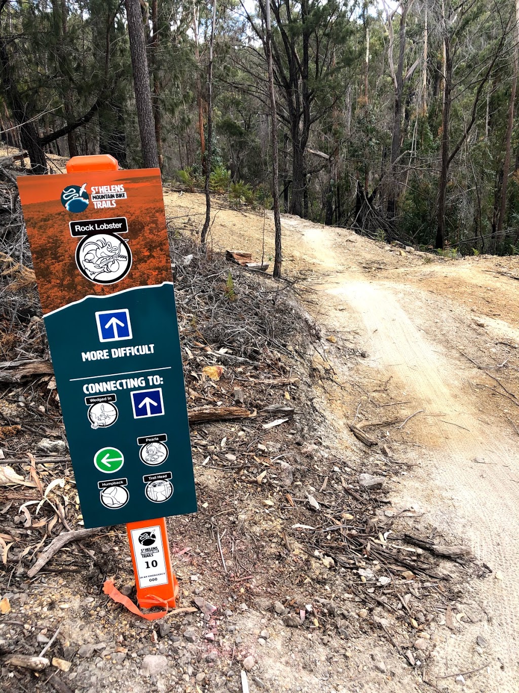 St Helens Trail Head (Stacked Loop) | parking | Flagstaff Rd, St Helens TAS 7216, Australia