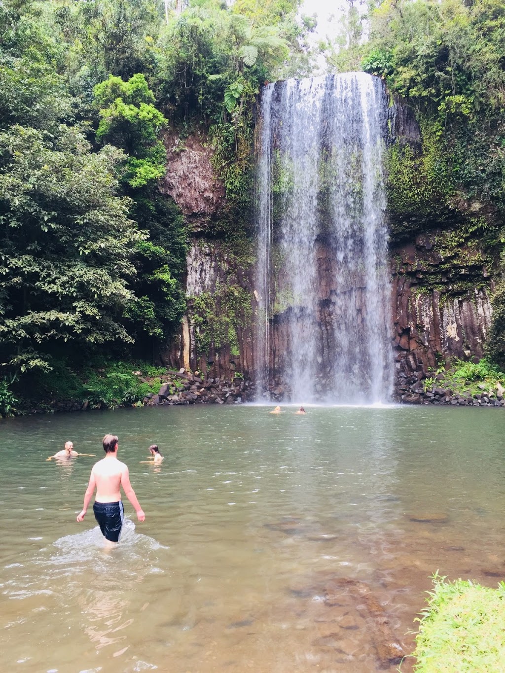 Millaa Millaa Falls | park | Millaa Millaa QLD 4886, Australia