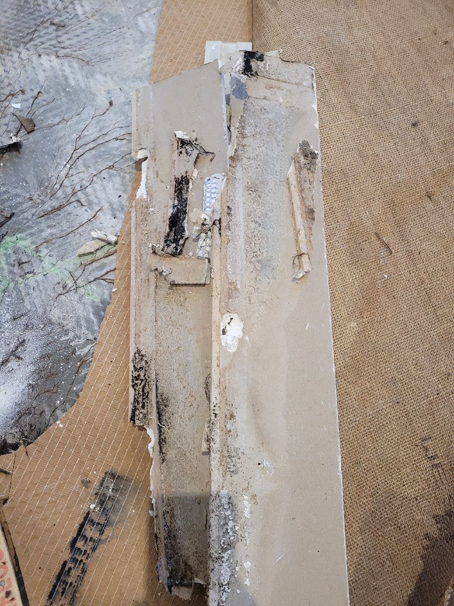 MouldMen - Mould Gone | 4/37 Expansion St, Molendinar QLD 4214, Australia | Phone: 1300 605 960