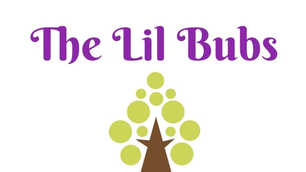 The Lil Bubs Family Day Care | 28 Ringtail St, Banksia Grove WA 6031, Australia | Phone: 0410 260 043