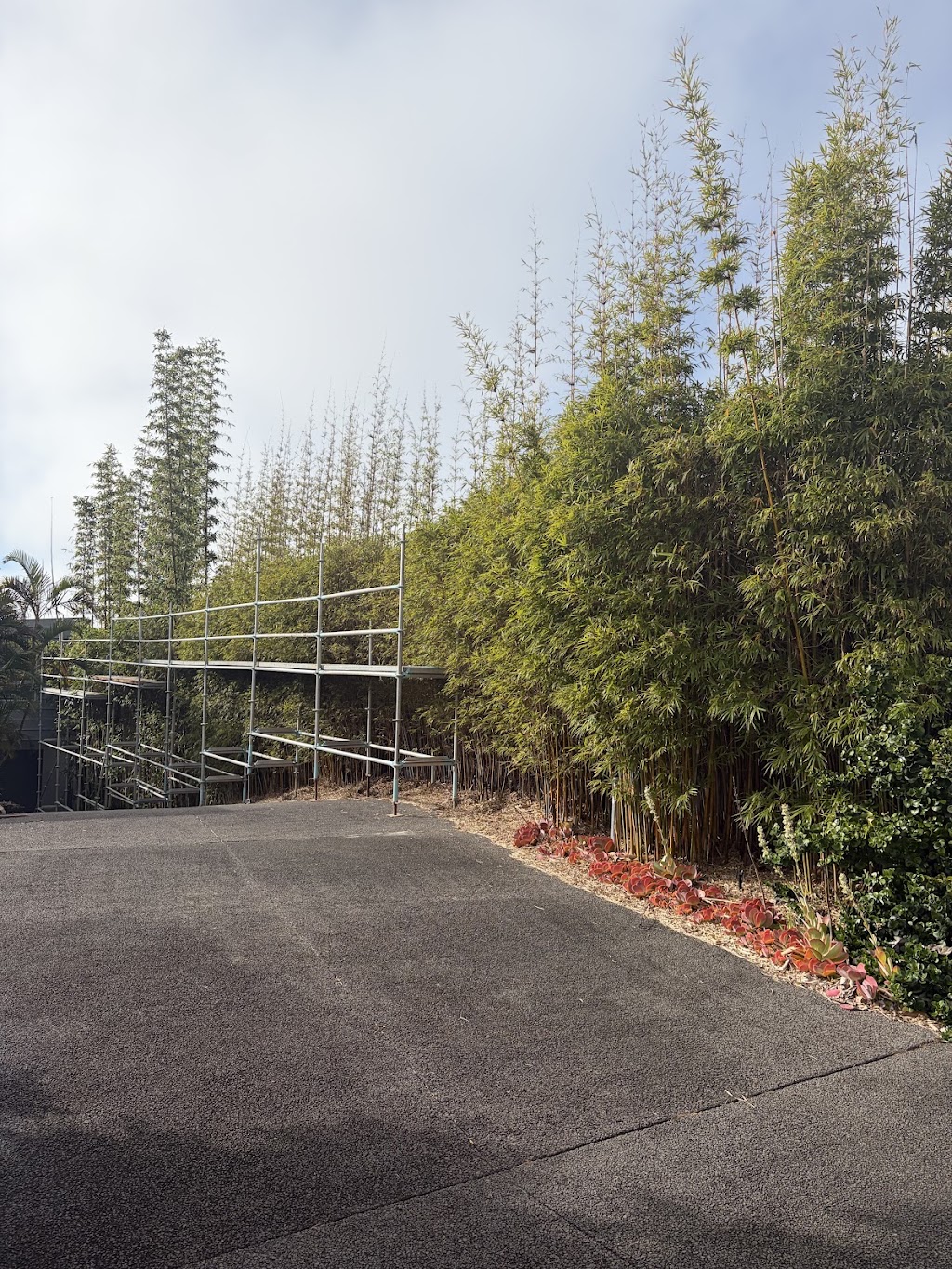Davies tree services | 116 Bagnall Beach Rd, Corlette NSW 2315, Australia | Phone: 0432 739 097