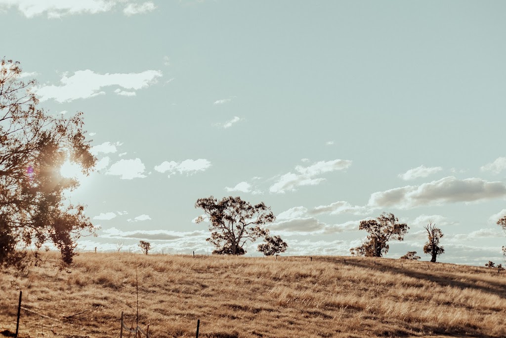 The Red Hill Nest | 167 St Anthonys Creek Rd, Glanmire NSW 2795, Australia | Phone: 0410 648 183