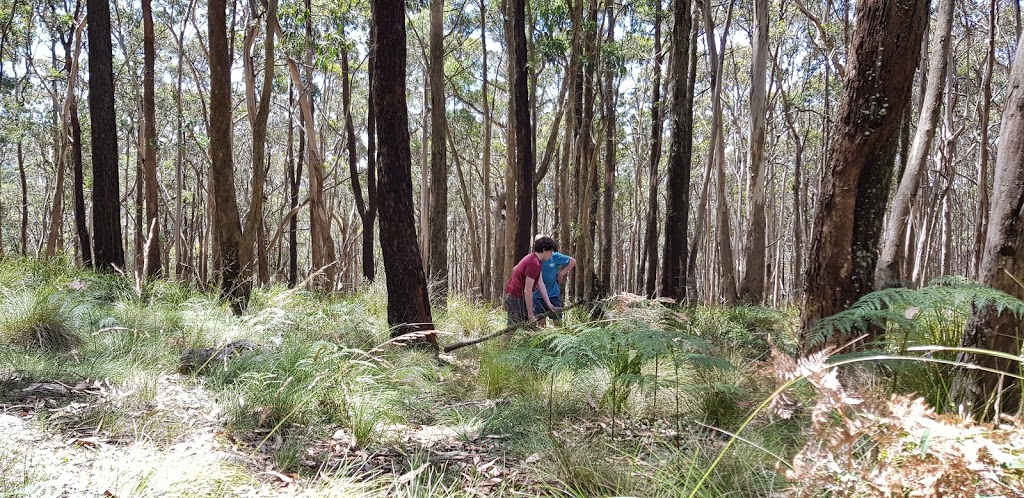 Beeripmo Campsite | campground | Beeripmo Walk, Raglan VIC 3373, Australia