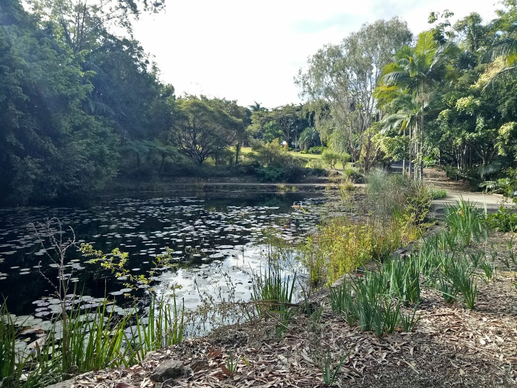 Noosa Botanic Gardens | park | Lake MacDonald Dr, Lake MacDonald QLD 4563, Australia | 0753296500 OR +61 7 5329 6500