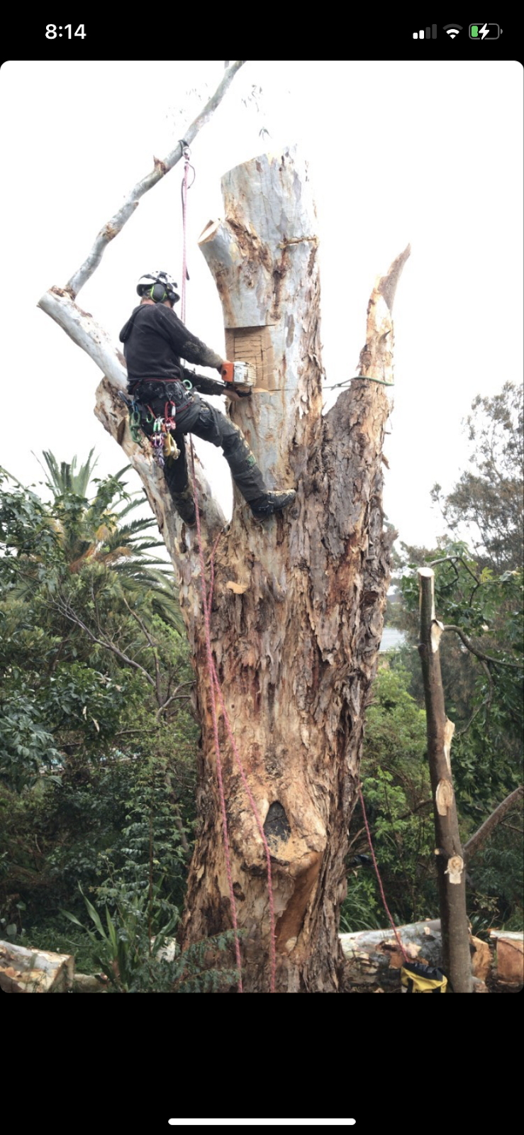 Berry Tree Works | 10 E, 10D Jaspers Brush Rd, Jaspers Brush NSW 2535, Australia | Phone: 0414 039 861