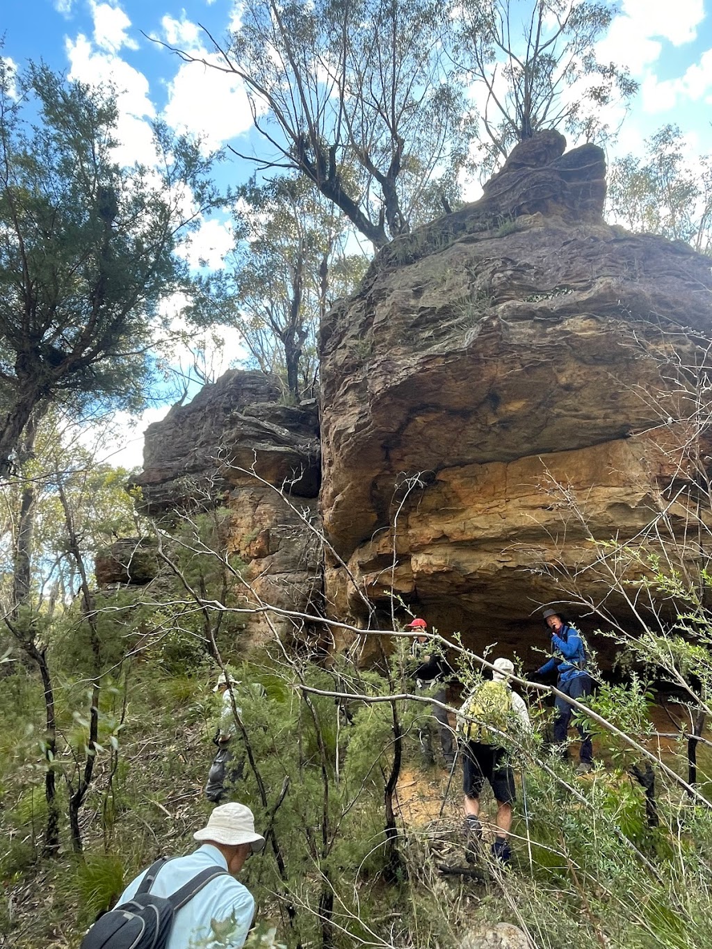Wollemi Wanders | Bushwalks and Canyoning | 16 Church Ln, Mount Wilson NSW 2786, Australia | Phone: 0436 107 829