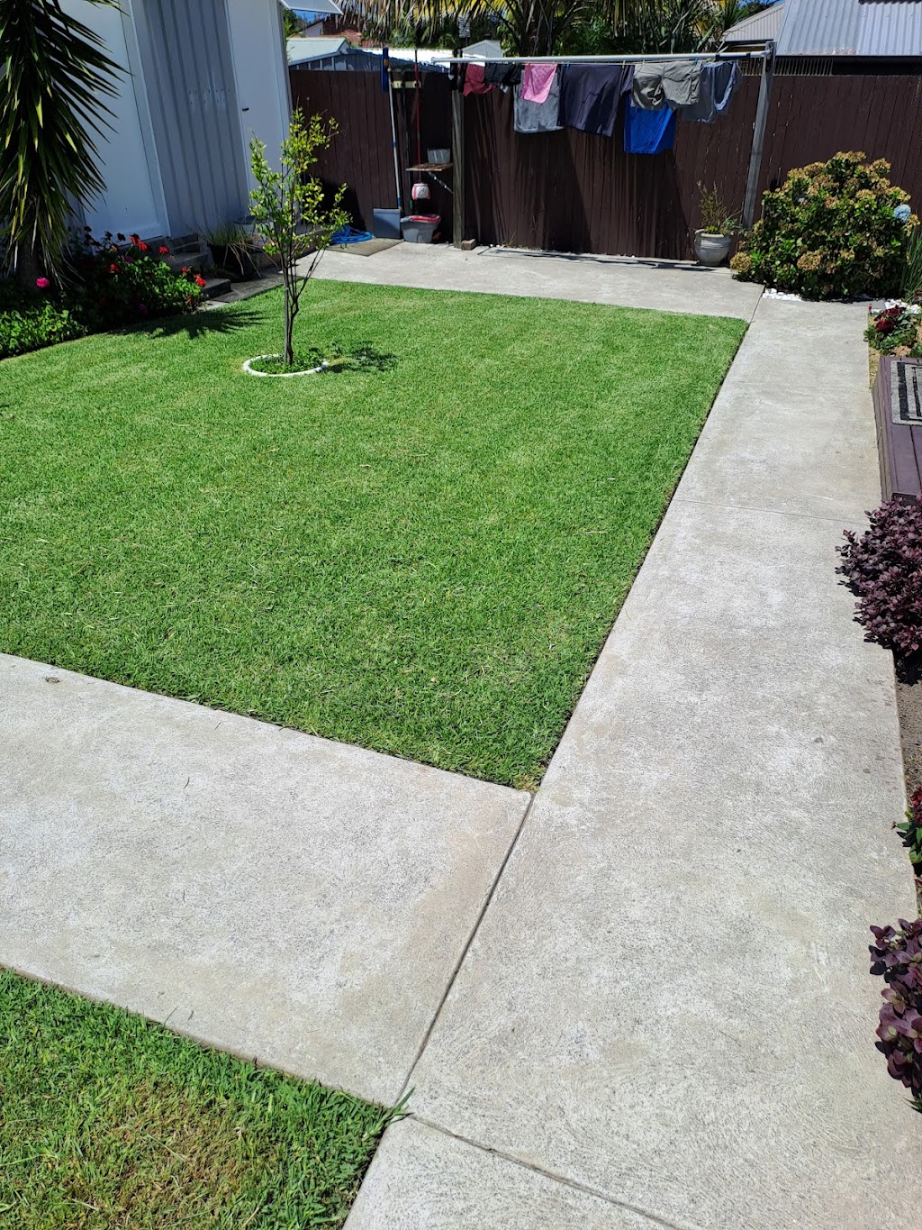 Budgewoi lawns(currently fully booked out) | Noella place, Budgewoi NSW 2262, Australia | Phone: 0458 806 285