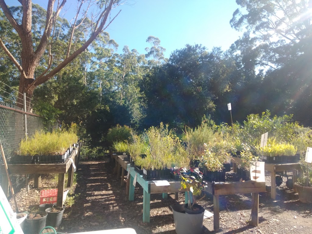 Wildplant Community Nursery |  | Loop Rd, Ourimbah NSW 2258, Australia | 0243494491 OR +61 2 4349 4491