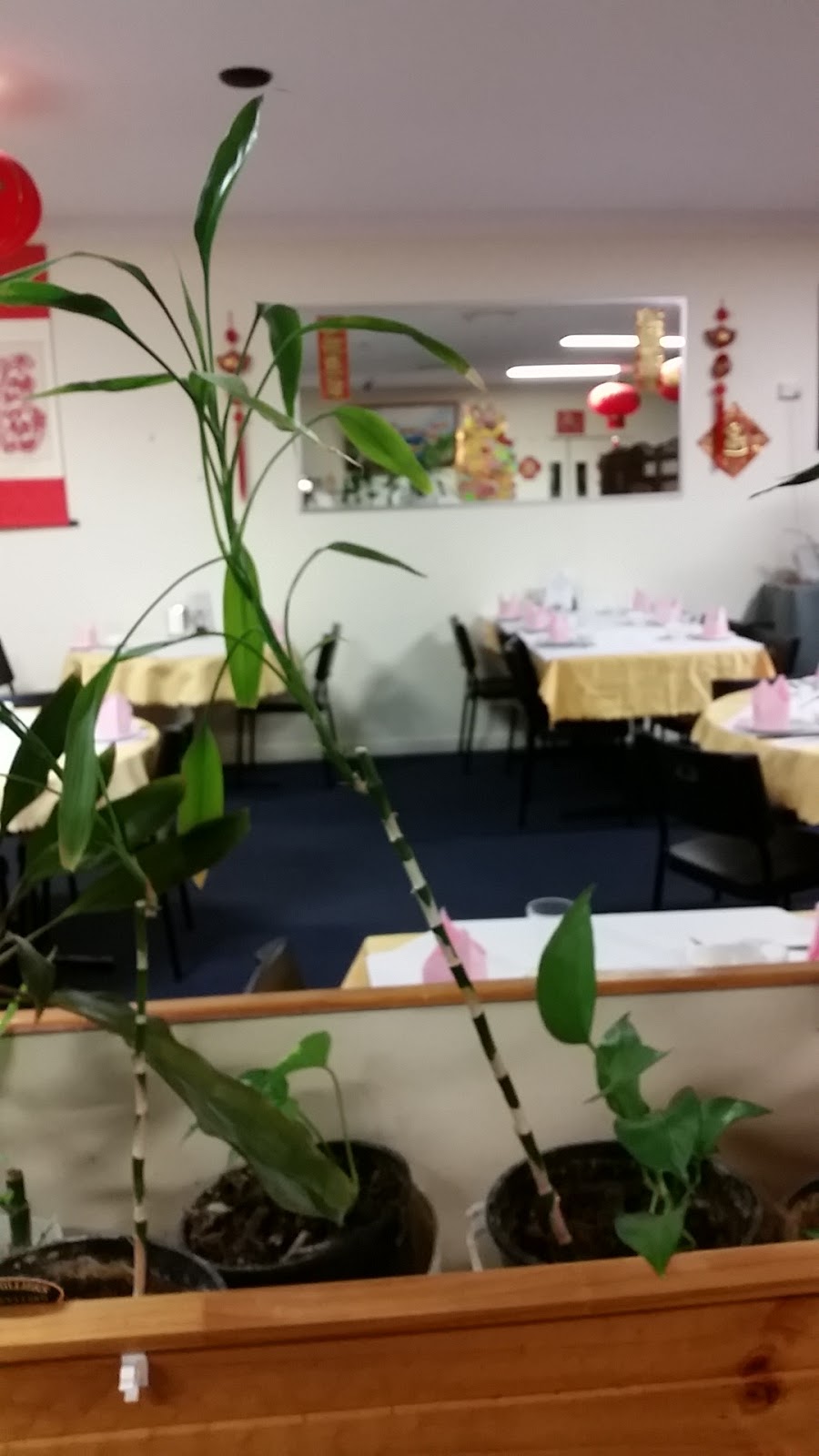 Boonah Chinese Restaurant | restaurant | 41 Yeates Ave, Boonah QLD 4310, Australia | 0754632807 OR +61 7 5463 2807