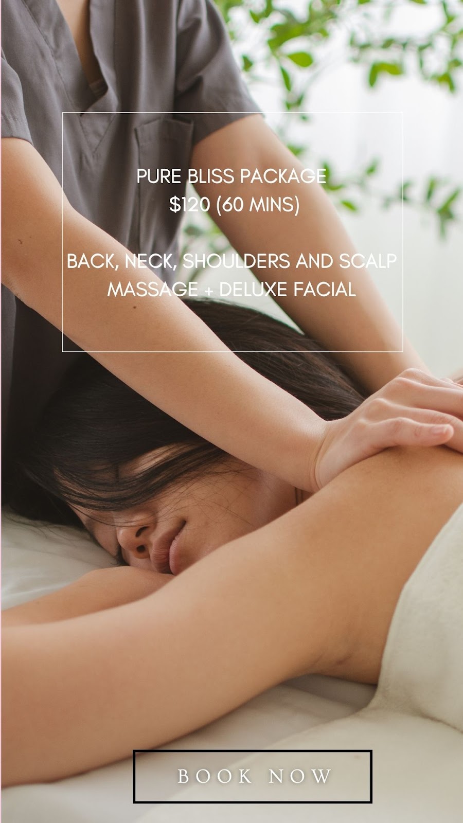 Blissful Beauty | 485A Nerang Murwillumbah Rd, Advancetown QLD 4211, Australia | Phone: 0478 937 036