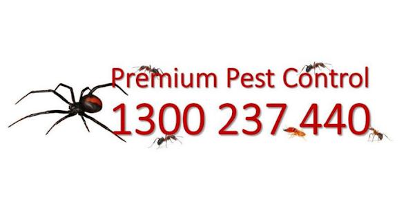 Premium Pest Control Management. | 9 Como Ct, Dandenong North VIC 3175, Australia | Phone: 1300 237 440