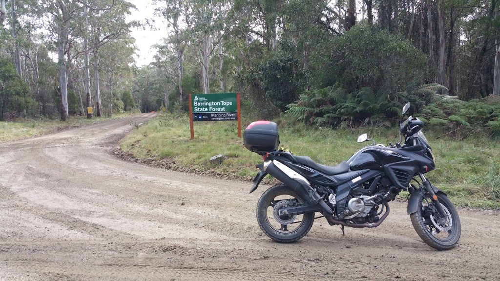 Devils Hole Campground | campground | &, Barrington Tops Forest Rd & Devils Hole Access, Barrington Tops NSW 2422, Australia | 0265451128 OR +61 2 6545 1128