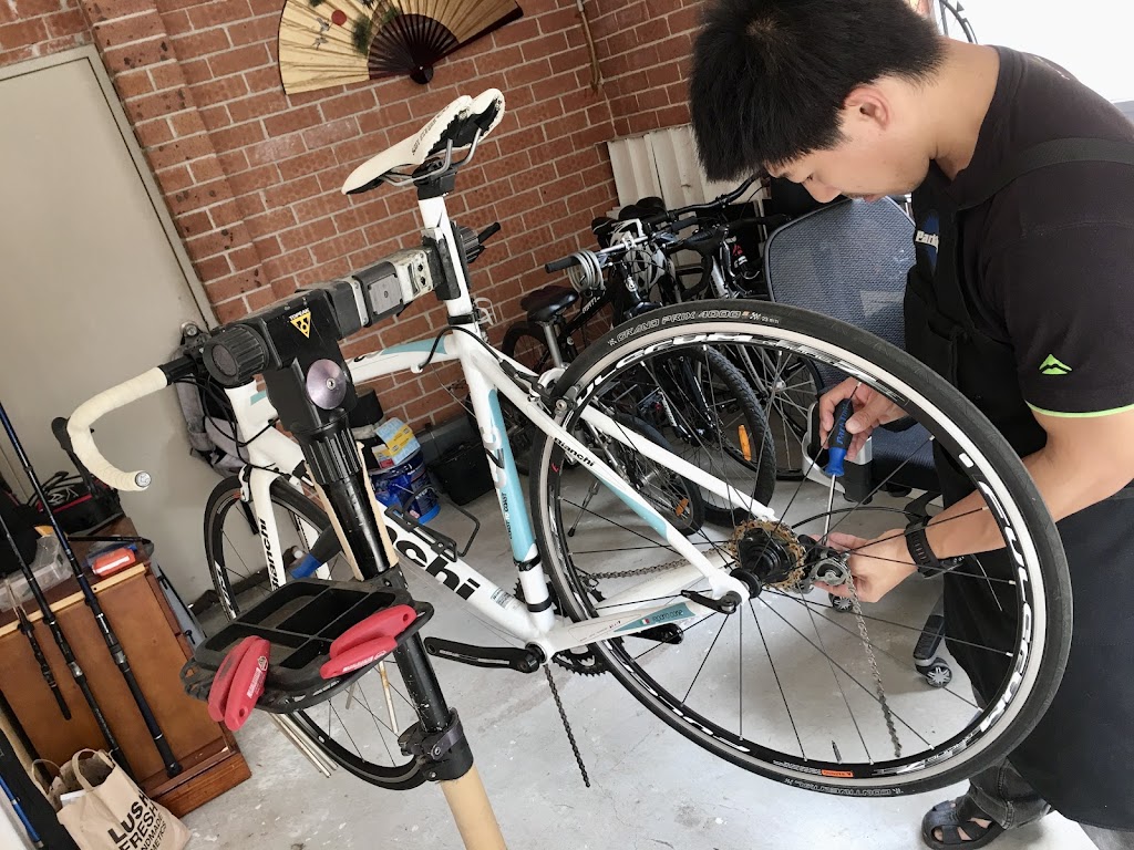 Flying Fish Cycle Workshop | 49 Gundaroo Cct, Maryland NSW 2287, Australia | Phone: 0402 124 539