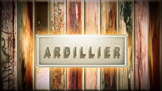 Ardillier Music - Narara | 23 Boulder Cres, Narara NSW 2250, Australia | Phone: 43292232