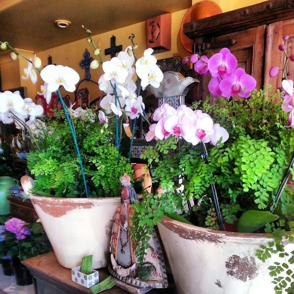 Hacienda Flowers & Furnishings | florist | 15 Pedder St, Albion QLD 4010, Australia | 0738683346 OR +61 7 3868 3346