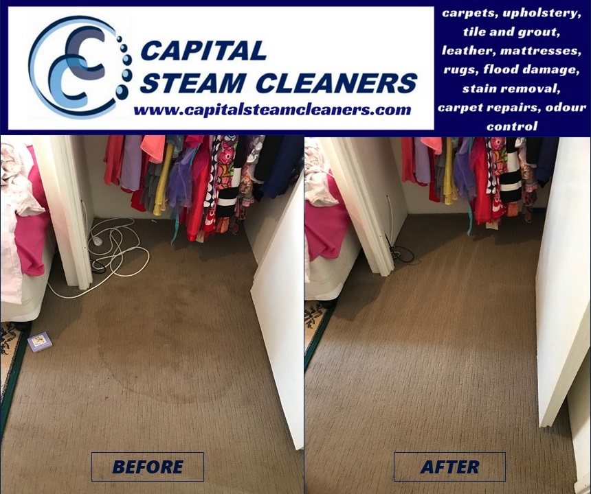 CAPITAL STEAM CLEANERS | laundry | 46 Vancouver Parade, Wanneroo, Perth WA 6065, Australia | 0420481765 OR +61 420 481 765