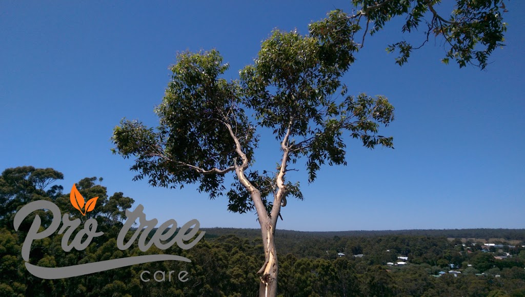 Pro Tree care | John St, Abbey WA 6280, Australia | Phone: 0484 643 150