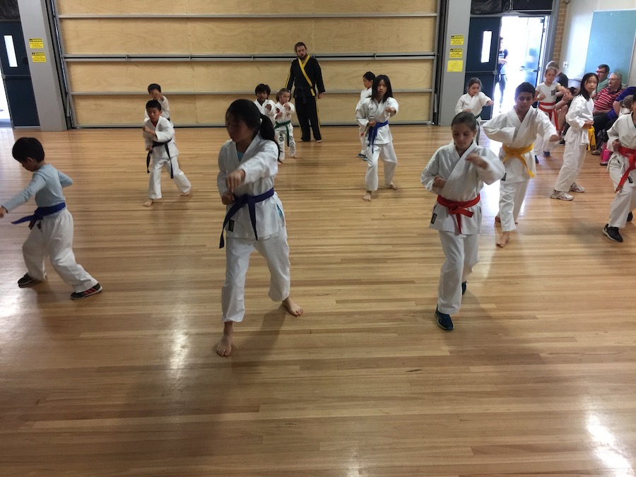 Australias Youth Self Defence Karate | 128 Kent St, Epping Heights NSW 2121, Australia | Phone: (02) 9904 5667