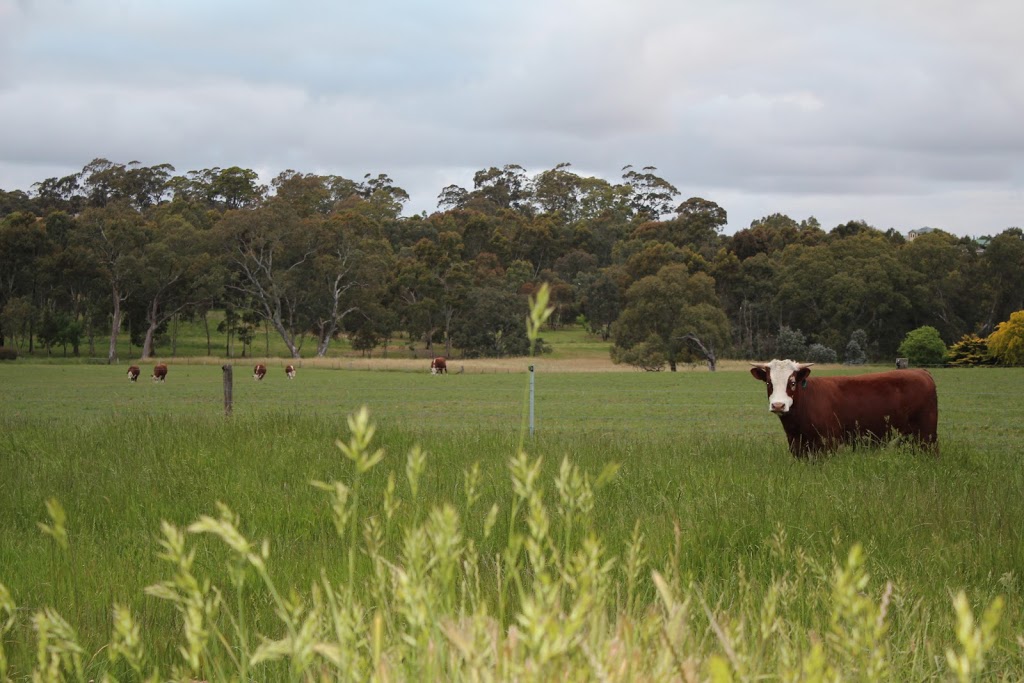 The Liebelt Farm | 156 Junction Rd, Littlehampton SA 5250, Australia | Phone: 0414 353 815