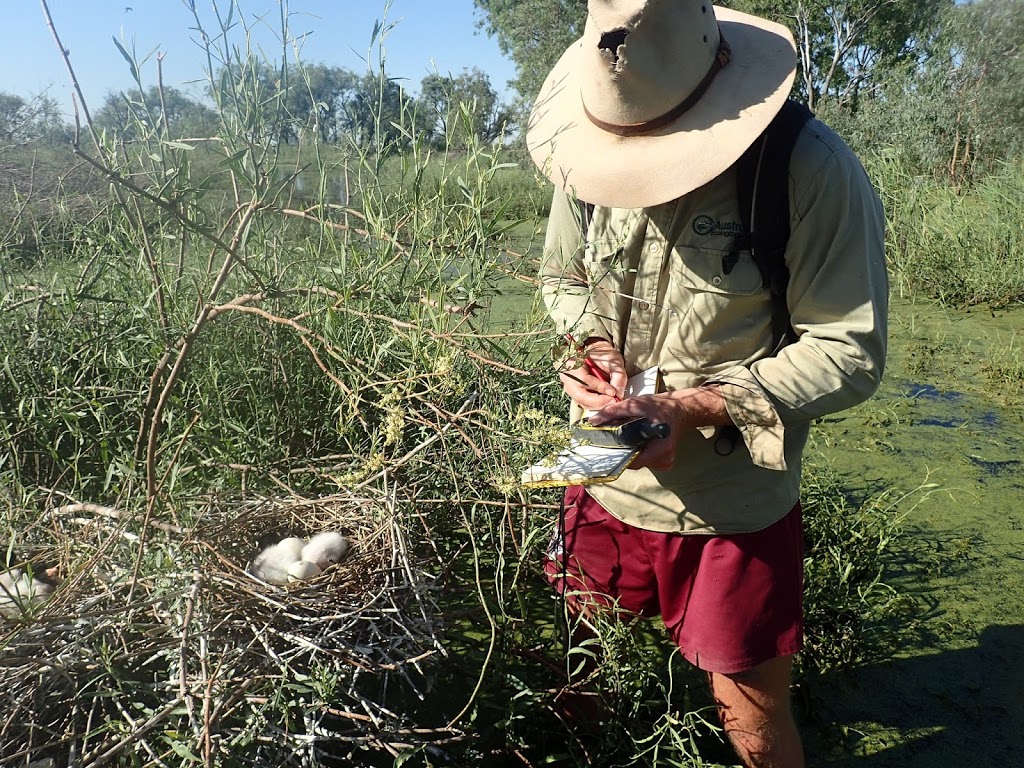 Australian Ecological Services | 53D Raglan St, Mosman NSW 2088, Australia | Phone: 0413 228 213