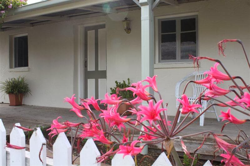The Cottage Tumut | real estate agency | 21 Wynyard St, Tumut NSW 2720, Australia | 0488183525 OR +61 488 183 525