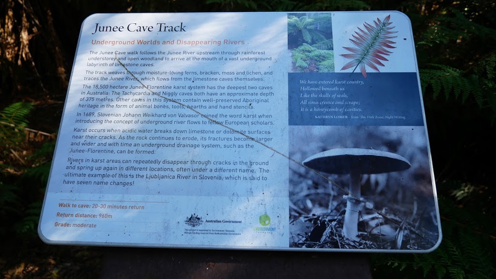 Junee Cave State Reserve | park | Maydena TAS 7140, Australia