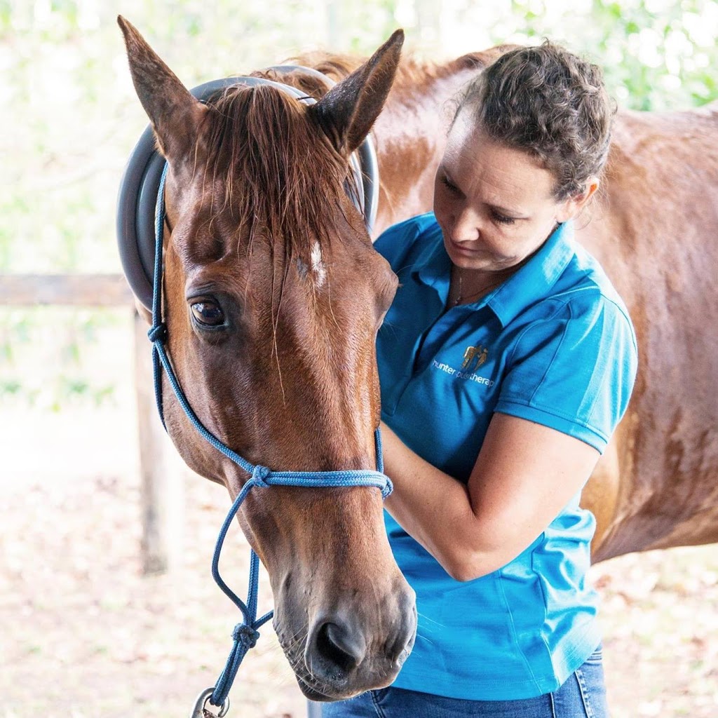 Hunter Pulse Therapy for Horses | 19 Diamantina Pl, Wallalong NSW 2320, Australia | Phone: 0401 426 546