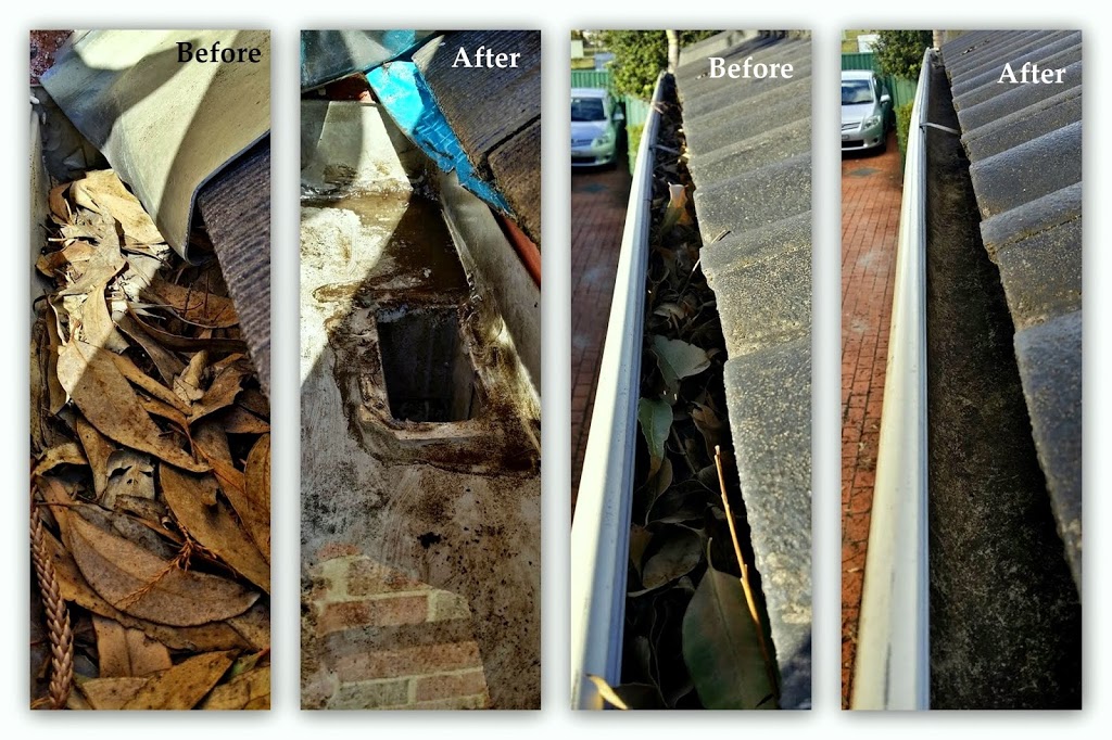 Pristine Window & Gutter Cleaning | roofing contractor | 2/125 Garden St, Narrabeen NSW 2101, Australia | 0295334476 OR +61 2 9533 4476