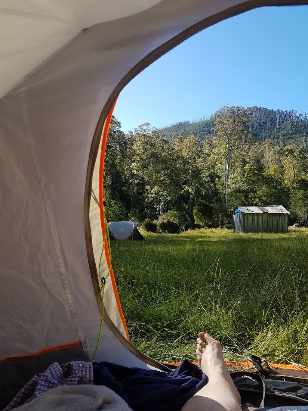 Pikes Flat Camping Area | Mount Buller VIC 3723, Australia