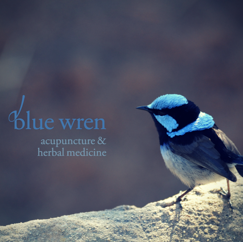Blue Wren Acupuncture | health | 33 Cairnes Grove, Bentleigh VIC 3204, Australia | 0423539027 OR +61 423 539 027