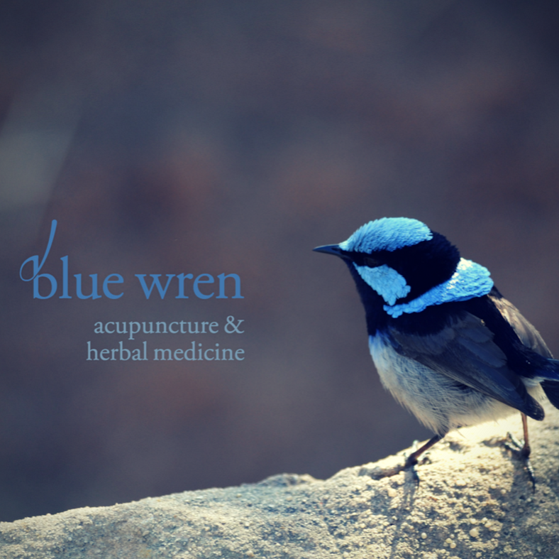 Blue Wren Acupuncture | 33 Cairnes Grove, Bentleigh VIC 3204, Australia | Phone: 0423 539 027