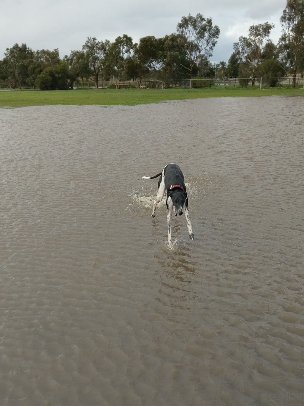 South Barwon Cricket Club | South Barwon Reserve, Barwon Heads Rd, Belmont VIC 3216, Australia | Phone: (03) 5244 1753