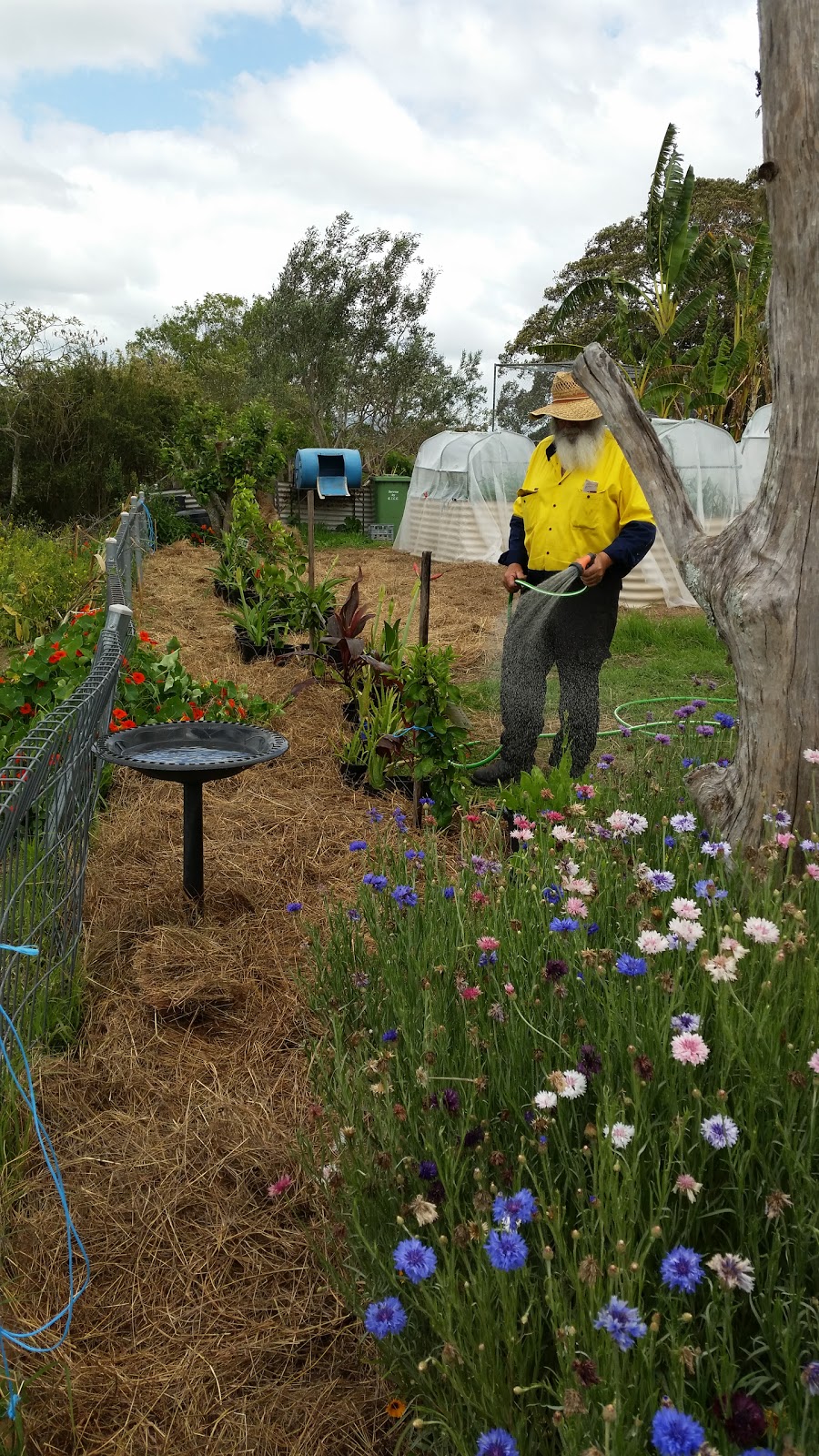 Manning Valley Neighbourhood | 4 Farquhar St, Wingham NSW 2429, Australia | Phone: (02) 6553 5121