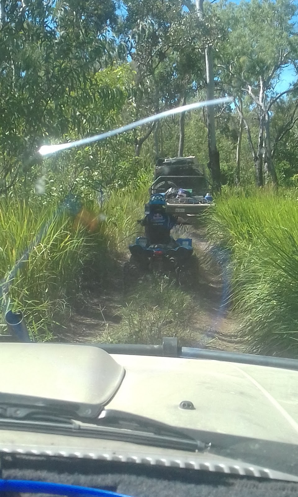 Halifax Bay Wetlands National Park | Coolbie QLD 4850, Australia | Phone: 13 74 68