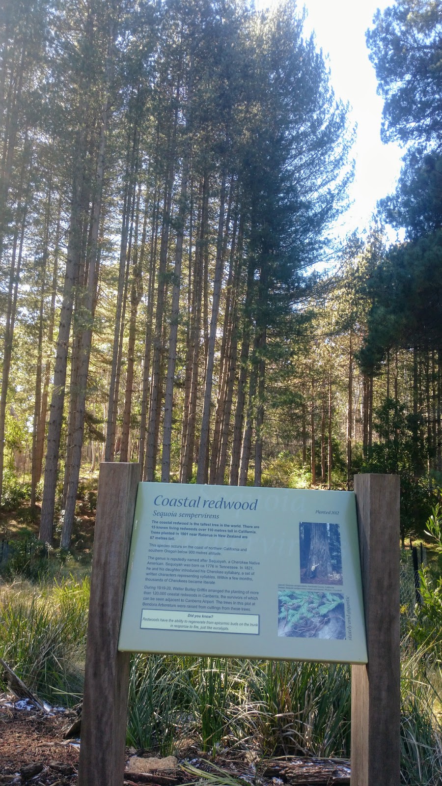 Bendora Arboretum | park | Cotter River ACT 2611, Australia